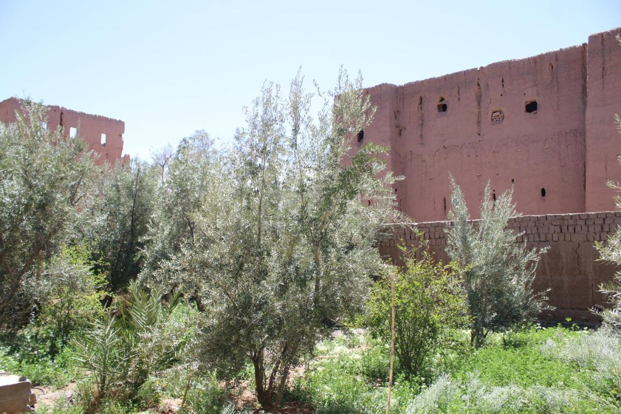 Gite Ait Lmaalam Chez Ahmed Skoura Bagian luar foto