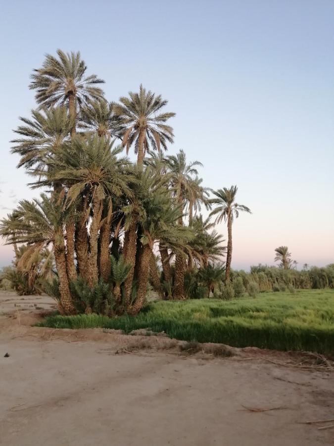 Gite Ait Lmaalam Chez Ahmed Skoura Bagian luar foto